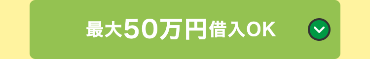最大50万円借入OK