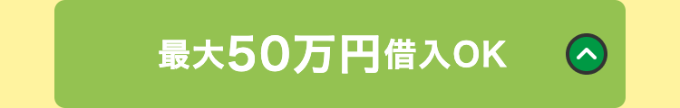 最大50万円借入OK